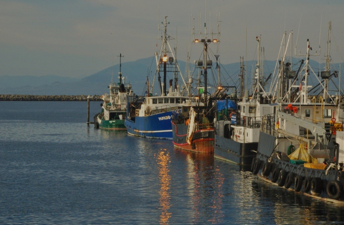 fishing boats at Neah Bay harbor